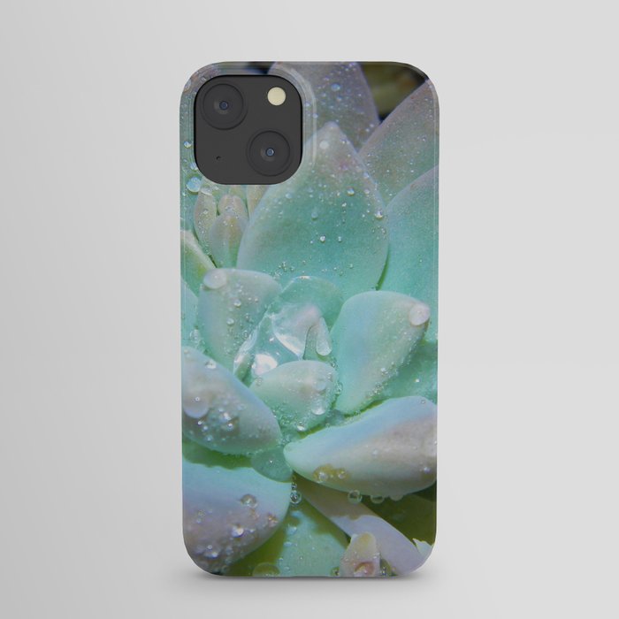 Pastel Succulent 2 iPhone Case