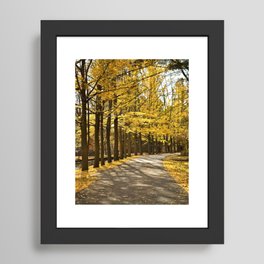 Fall Path Rustic / Nature / Landscape Photograph Framed Art Print