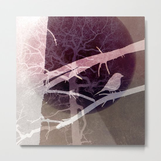 Natural experiment Metal Print