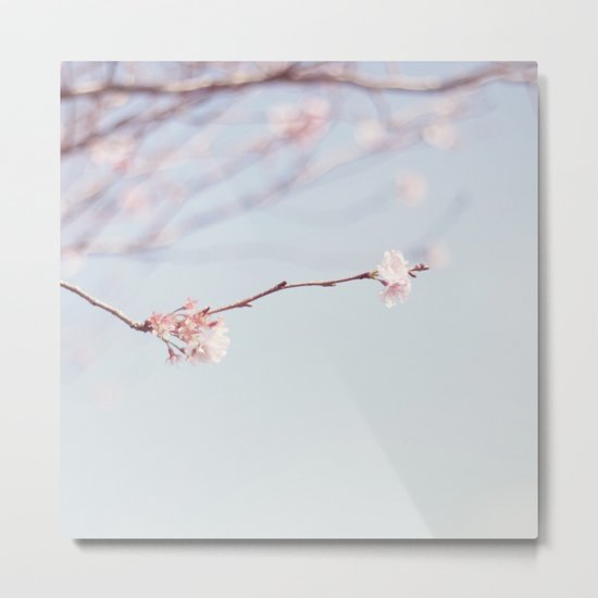 Pink blooms Metal Print