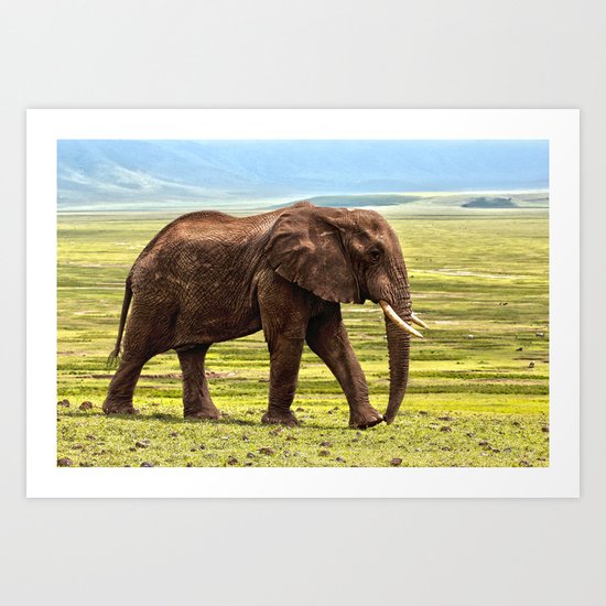 Elephant Safari Art Print