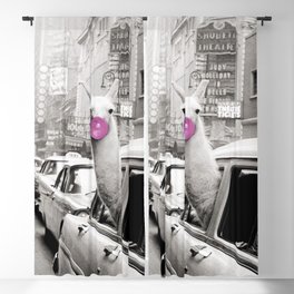 Perfect Pink Bubble Gum Llama taking a New York Taxi black and white photograph Blackout Curtain