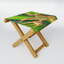 Beautiful Helicon Flower Blooming With Palms Leaves Folding Stool