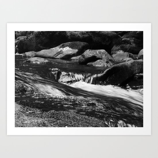 Nature Photography Art Print