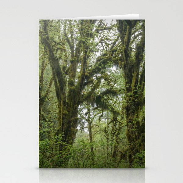 Mystic Woods Stationery Cards