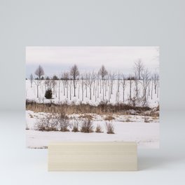 Snow on the Ground Mini Art Print