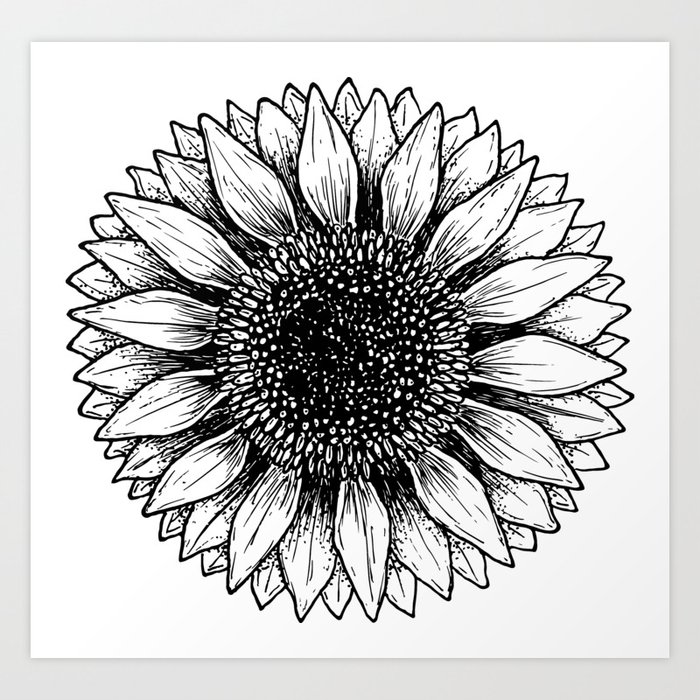 GIRASOL BLANCO Art Print