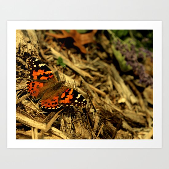 Monarch Art Print
