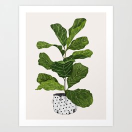 Fiddle leaf fig Tree Art Print