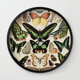 Papillon II Vintage French Butterfly Chart by Adolphe Millot Wall Clock