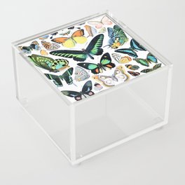 Adolphe Millot "Butterflies" 2. Acrylic Box