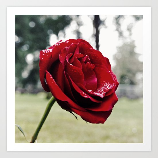 Natural beauty Art Print