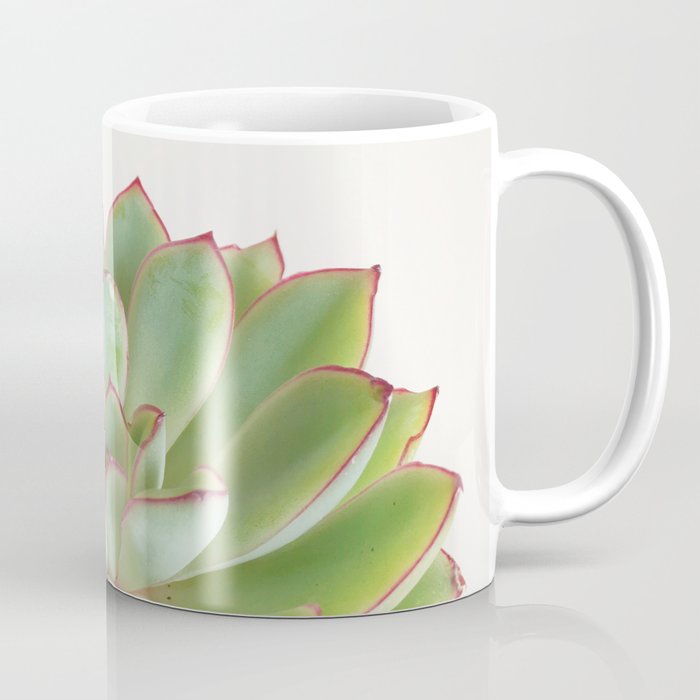 Green Succulent Coffee Mug