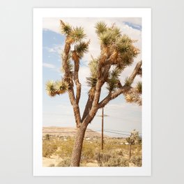Joshua Tree California Landscape III Vertical Color Art Print