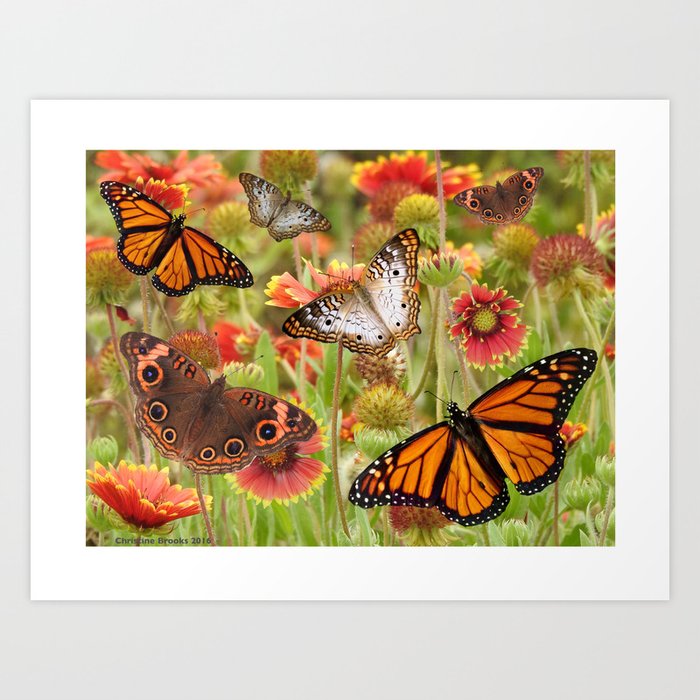 Wild butterfly flowers on sacred protected land Art Print