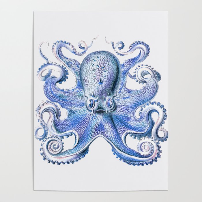 Vintage marine octopus - french navy Poster