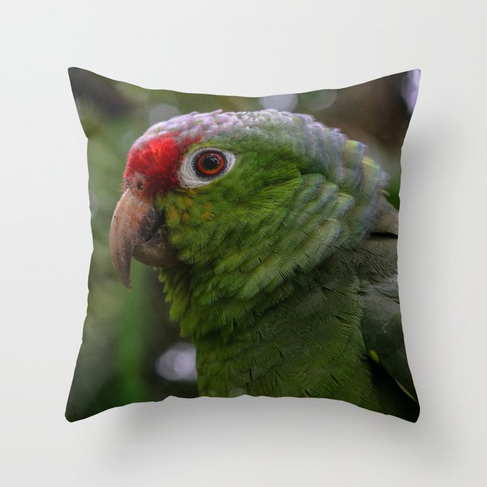 Amazon Green Parrot in Costa Rica Throw Pillow