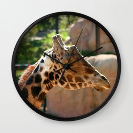 Baringo Giraffe Wall Clock