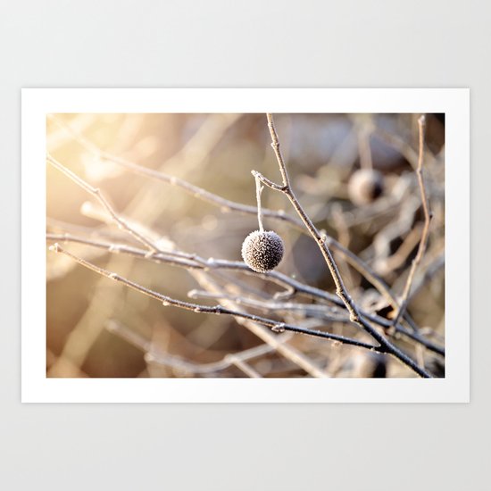 Hanging by a Thread Art Print