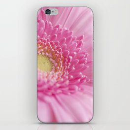 Bright and cheerful hot pink gerbera - romantic valentines flower - nature photography iPhone Skin