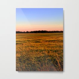 Sunset over the fields Metal Print
