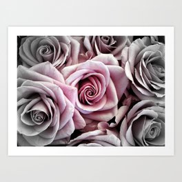 Pink Rose : Pop of Color Art Print