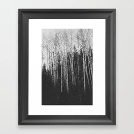 Winter Aspens x Black and White Landscape Photography Framed Art Print