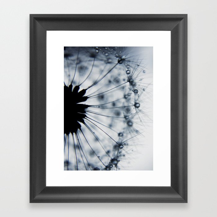 Dandelion Dark Blue Flower - Elegant Floral Framed Art Print