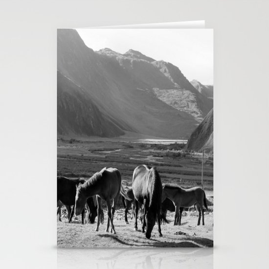 Horses Stationery Cards