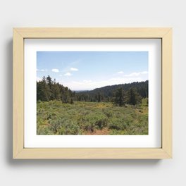 Oregon Wilderness Recessed Framed Print