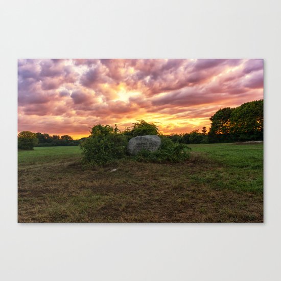 Waring field at sunset Canvas Print