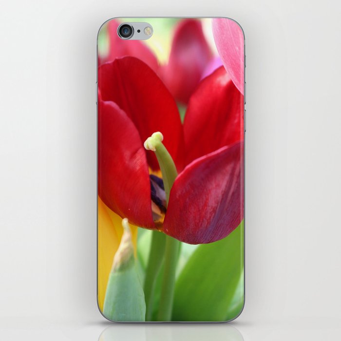 red and yellow tulips iPhone Skin