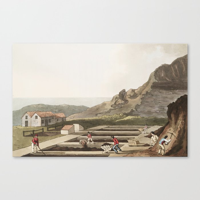 19th century in Yorkshire life Canvas Print