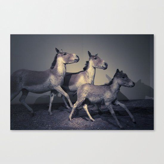 the embalmed pony show Canvas Print