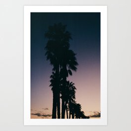 sunset palms Art Print
