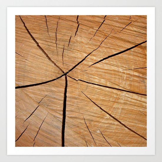 wood macro II Art Print