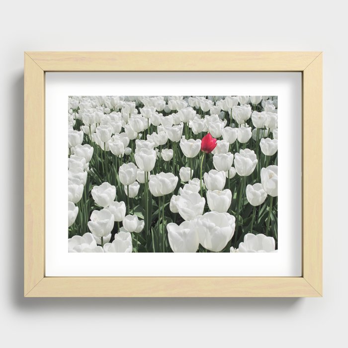 The Odd One Out Recessed Framed Print