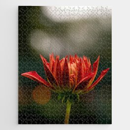 Cooper Blaine Dahlia In Red Jigsaw Puzzle