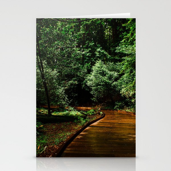 Muir Woods Stationery Cards
