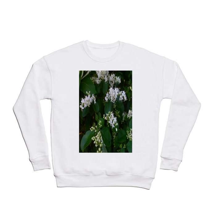 Bliss Crewneck Sweatshirt