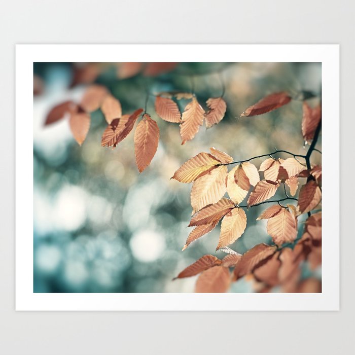 Teal Brown Nature Photography, Aqua Blue Copper Leaves, Turquoise Leaf Tree Branches, Fall Autumn Art Print