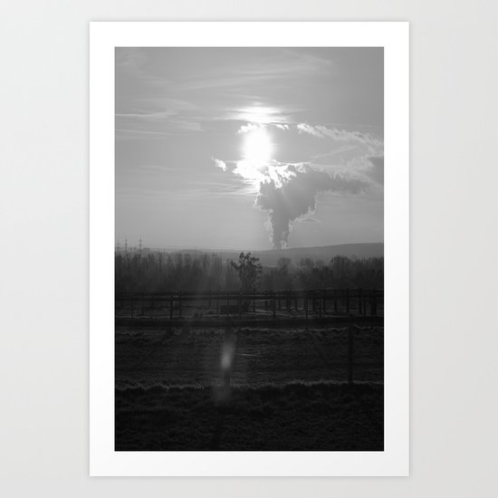Weide Art Print