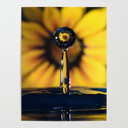 Yellow Flower in Water Drop  Poster