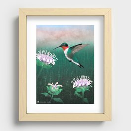 Pollinators: Hummingbird & Bergamot Recessed Framed Print