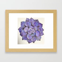 Purple Succulent Framed Art Print