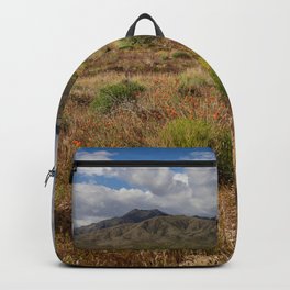 Painted Desert 0211 - Southwest USA Backpack
