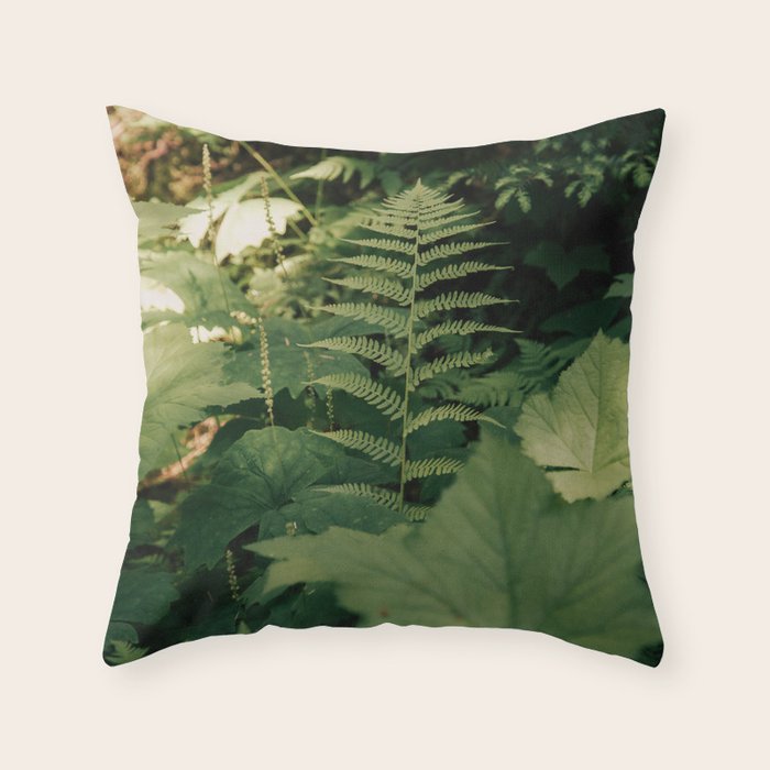Throw Pillow