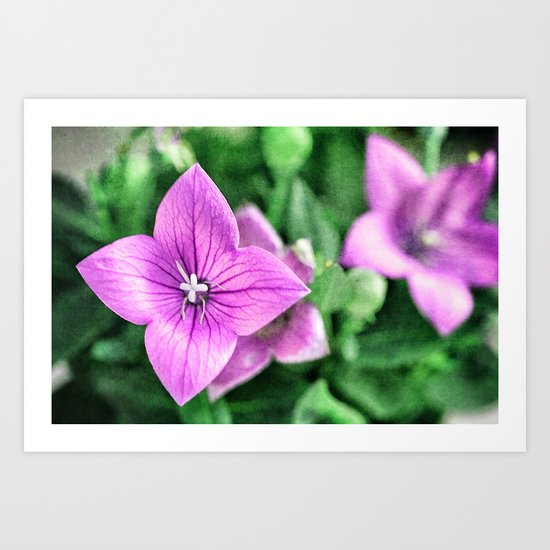 purple star Art Print