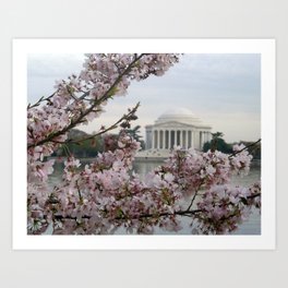 Jeffersonian Cherry Blossoms Art Print