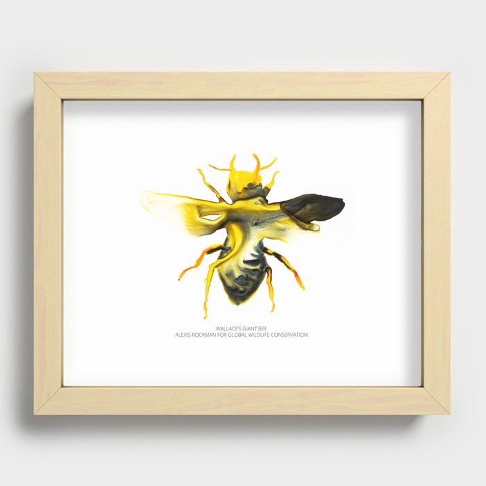 Wallace's Giant Bee Recessed Framed Print